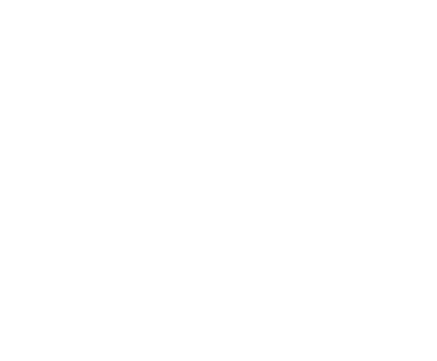 Nouveau Nest
